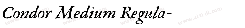 Condor Medium Regula字体转换